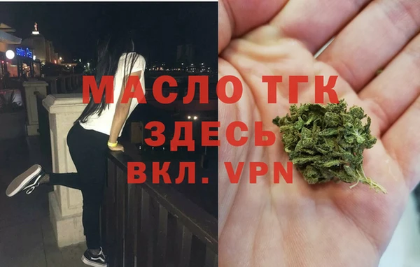 spice Богородицк